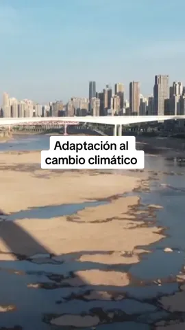 🌍 ¡El 45% de la población mundial está en riesgo! 😱 Los fenómenos climáticos extremos afectan a 1 de cada 3 personas. Pero no todo está perdido: la clave está en la adaptación. 💪 Los países que se preparan sufren menos.  @cumbresblancascolombia  @Camilo Prieto Valderrama  🌱 Educación ambiental, políticas públicas y tecnología son fundamentales para enfrentar el cambio climático. 🚨 ¡Actuemos ahora! #CambioClimático #AdaptaciónClimática #Sostenibilidad #MedioAmbiente #acciónclimática  