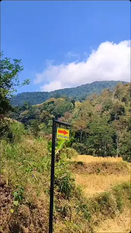 Arca Wayang di Sawah Acra Dusun Karangsari Desa Citundun Kecamatan Ciwaru Kab.Kuningan...Semoga bisa Menjadi Destinasi Objek Wisata Sejarah 😉🙂 @kantorkecamatanci7   @inilahkuningan @enjoykuningan   #peninggalansejarah  #Arcawayang 