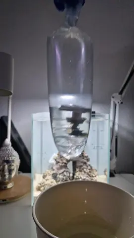 Unboxing my first corals for my nano reef tank 😍 I'm living the dream @mrutzekmeeresaquaristik 🔥 incredible Unboxing of beautiful corals 🪸🥰 #aquarium #reef #aquascape #reeftank #coral  *This contains unpaid advertising and brand naming
