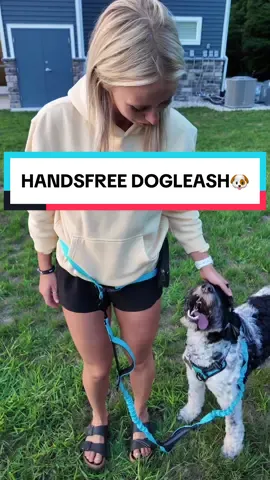 She loved it so much she's going to get one in her favorite color! #dog #puppies #dogleash #TikTokShop #fyp 