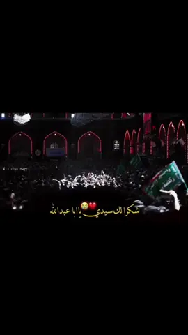 اللهم لا تجعله اخر العهد منا 🥺💔# #يا ابا عبد الله الحسين #