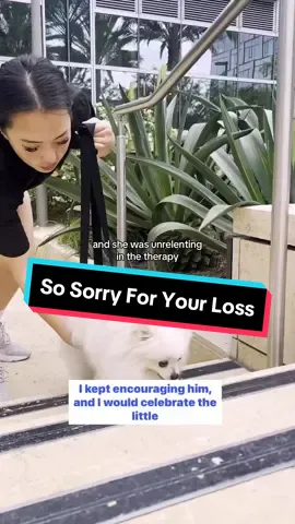 So sorry for your loss @Ashley  S2 Ep19 - Very Mindful Very Demure 🎙️ @Soogia (SOO-jee-yah) & @Ed  #dog #dogs #family #pets #puppy #puppies #asiantiktok #sosorry #whatintheshibal #podcast 