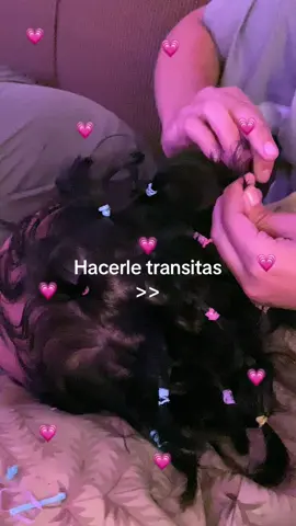 #trensitas #parejas #novios 💗