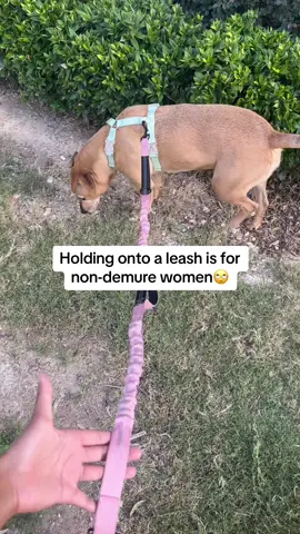 Demure women’s hands are always free🥰 btw the baby pink color adds 10 extra demure points #handsfreedogleash #dogproducts #tiktokshop 