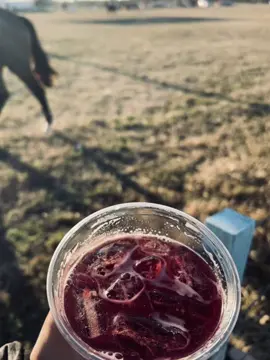 🤷🏻‍♀️#leomattioli #vino #lentejas #viralvideo 