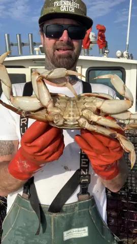 Huge Dungeness Crab and a soft Rock Crab. What we catch & keep versus what we release Part 1 #crab #crabs #crabbing #friendliestcatch #rockhold #seacreatures 