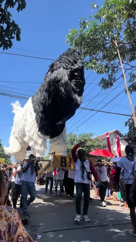 🦙🐐🐑  #pawaiagustusan #agustusmerdeka #17agustus2024 #agustuscore2024 