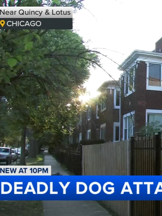 A 33-year-old man was mauled to death by dogs inside a West Side apartment building on Saturday night, officials said.