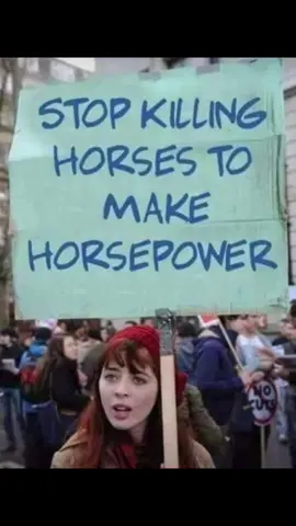 Funny signs 
