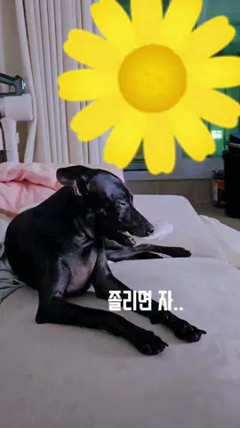 뭘 그렇게 물고졸아!?