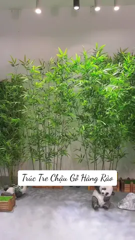 👋 1 chậu trúc tre xinh xắn trước hiên nhà, trước cổng, cạnh tường, trước cửa hàng, phông sự kiện,…. Chắc chắn sẽ là một điểm nhấn đặc biệt💯 #trangtri #caygia #decornhadep #tieucanh #trucquantu 