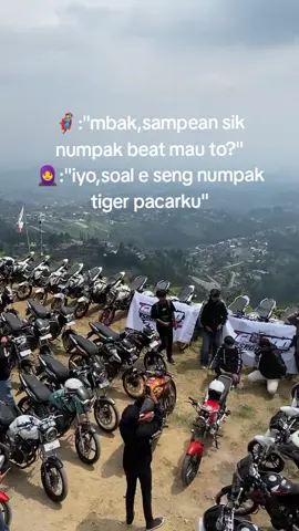 acc pora? #gilang_cruiser #fyp #fyppppppppppppppppppppppp #xyzbca #beranda #tiger #tigergank #tigergank🤙 #tigerwonogiri #tigermodifikasi #gl200 #gl200modifikasitiger #tirev #tirevherex #icikiwir #icikiwirgank #herexofficial #gl200modifikasitiger 