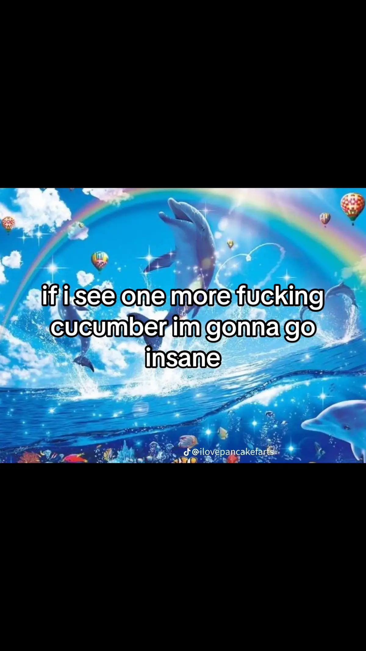 ‘sometimes you need to eat an entire cu-‘ SHUT UP SHUT UP SHUT UP IM GOING INSANE #cucumber #cucumbersalad #imgoinginsane #stop #please #no #enough #symphony #ijustwannabepartofursymphony #dolphin #dolphins 