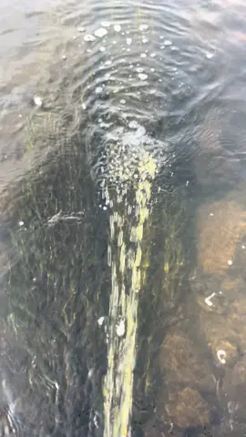 #epic #piss #epicpiss ❤️