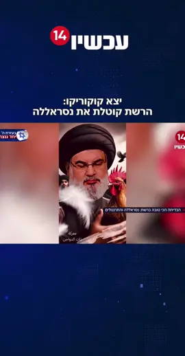 הבדיחה הכי טובה ברשת: נסראללה והתרנגולים 🐔 #צהל #נסראללה #שרוןגל #ערוץ14 