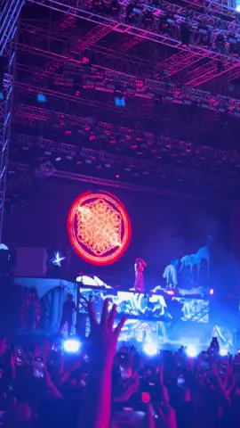 Pet chaa😎 #bringmethehorizon #nexfestindonesia #bmth #jakarta 