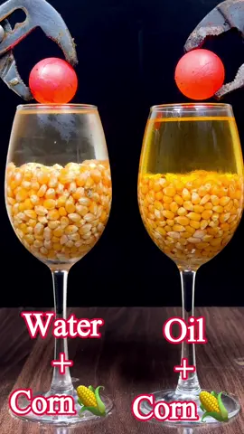 1000°C RHCB vs Corn+ Water & Corn + Oil💧🌽😱#satisfying #asmrsounds #experiment #science #rhcb #fyp #usatiktok