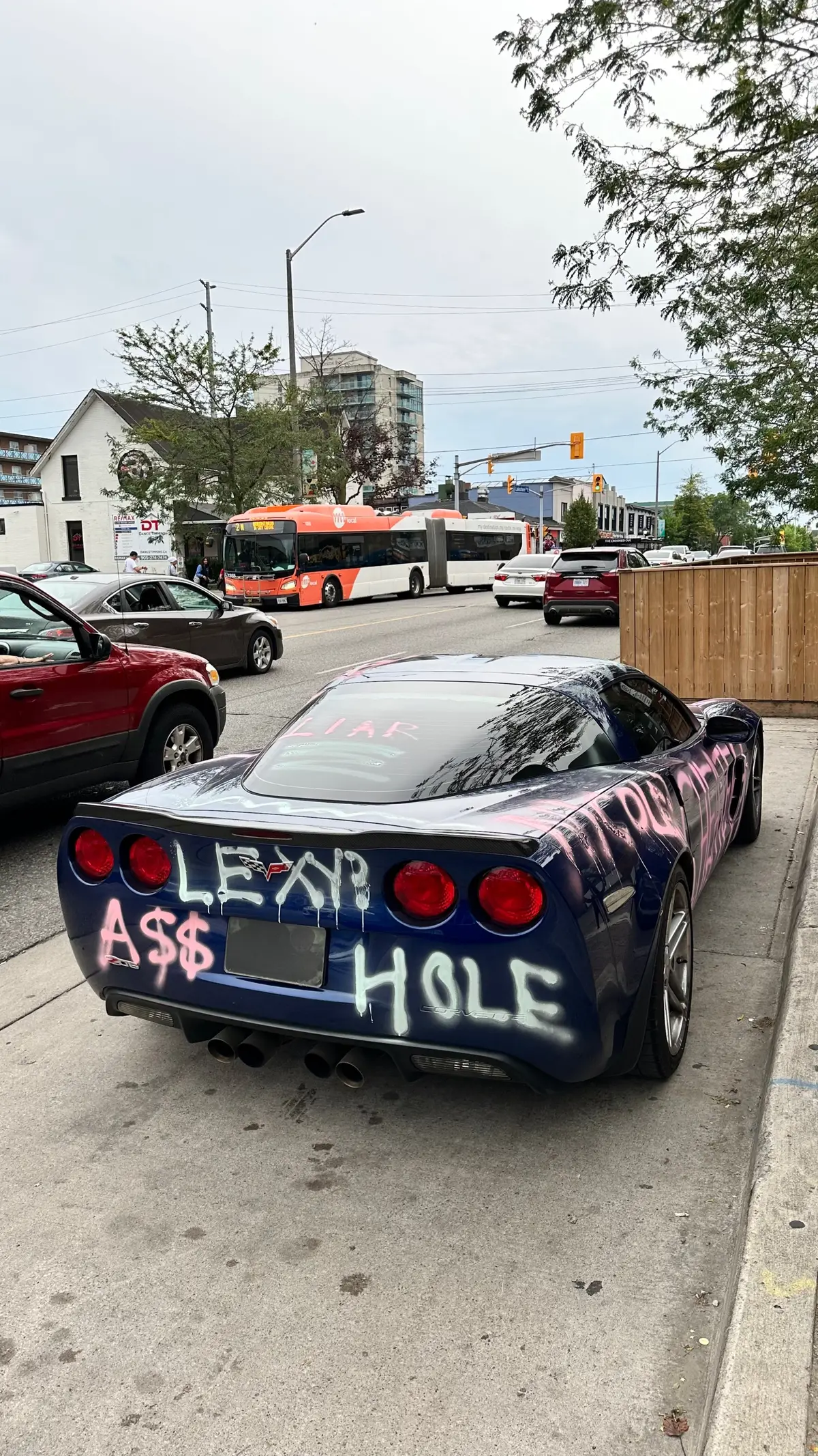 Could add a couple more names #fyp #foryou #viral #trending #cars #cartiktok #carsoftiktok #cheater #spraypaintcorvette #spraypaint #corvette #c6 #z06 #trizzie1 