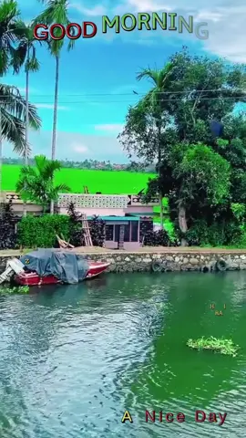 ലോകത്തിലെ ഏറ്റവും മനോഹരമായ കാര്യങ്ങൾ ആസ്വദിക്കാൻ കണ്ണോ കൈയോ വേണ്ട.. ഹൃദയം മതി… Good Morning 🌹#malayalamsongs #അനുരാഗിണി #morningvibes #kerala #പ്രണയംനിന്നോട്മാത്രം🕊️🕊️❤️❤️❤️ #haveaniceday #صباح_الخير #goodmorningvibes #anuragini #missyou 