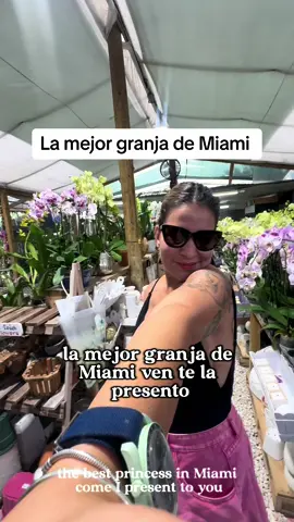 Esta fabulosa granja o farms se llama by brother esta ubicada 15515 sw 177th ave miami florida 33187 paseo con camello estara en mi check list #miami #miamifarm #ideas #ideascreativas 