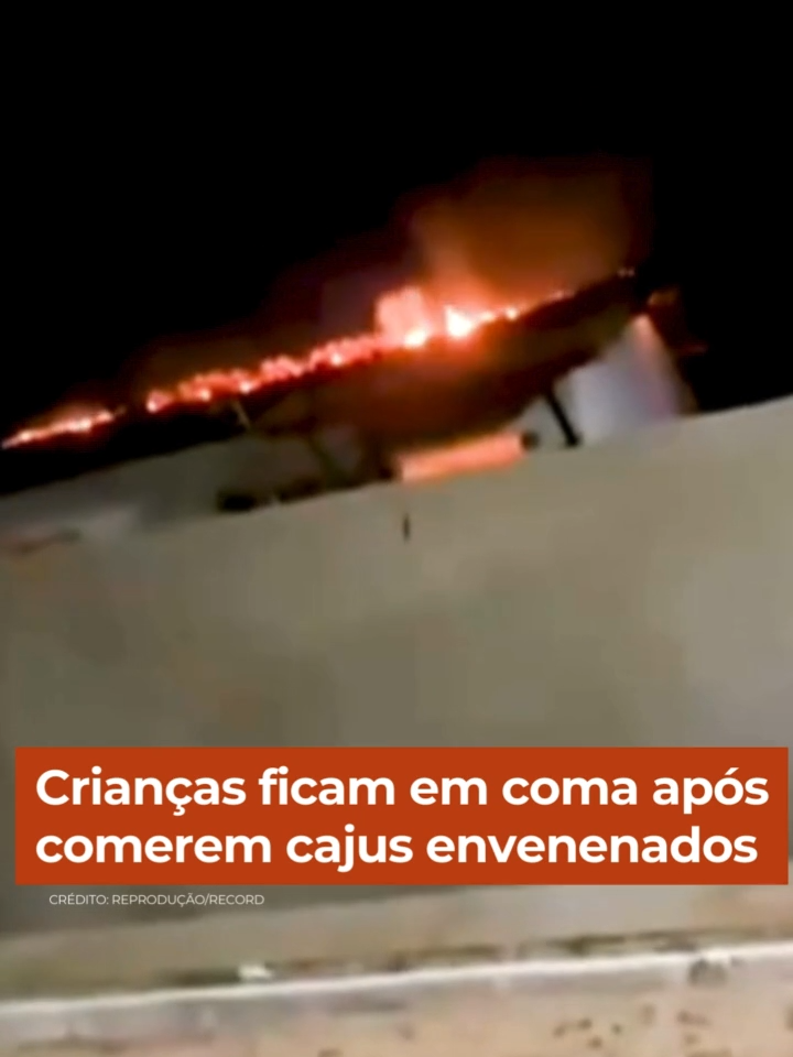 Irmãos envenenados pela vizinha, no Piauí, seguem internados em estado grave. Os meninos de 7 e 8 anos ganharam um saco de cajus com chumbinho de Lucélia Maria, de 58 anos. Assim que ganharam, os meninos comeram e foram para a casa. No local, começaram a passar mal. A mãe das vítimas contou que um dos filhos estava ficando roxo e com a língua escura. Os dois seguem internados e entubados. Lucélia teria tentando matar as crianças porque elas ficavam pulando o muro e indo no quintal dela, ou brincar, ou comer alguma fruta. Segundo a investigação, esse não é o primeiro crime de Lucélia, ela é suspeita de matar envenenado alguns animais da região. Na casa da mulher, os policiais acharam alguns frascos de veneno. Ela foi presa em flagrante #CidadeAlerta Acesse R7.com/CidadeAlerta e veja essa e outras notícias