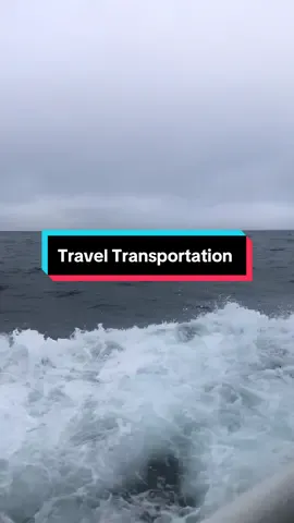 How do you prefer to travel? Planes, trains, or automobiles? By boat? Serious question! Let me known in the comments. People have totally different preferences. I’ve done most and have gained a lot of info, used great websites or third-party providers and I try to maximize budget, time and logistics. I’ll post future videos with tips! 