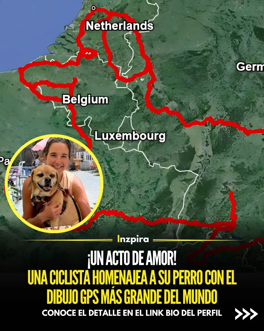 La ciclista estadounidense Kristy Bellmer recorrió 4,707 km por Europa para honrar la memoria de su perro, Slinky. ✅ Conoce cómo lo hizo en el link bio del perfil. • • • #Amor #Mascotas #Animales #Europa #Recorrido 