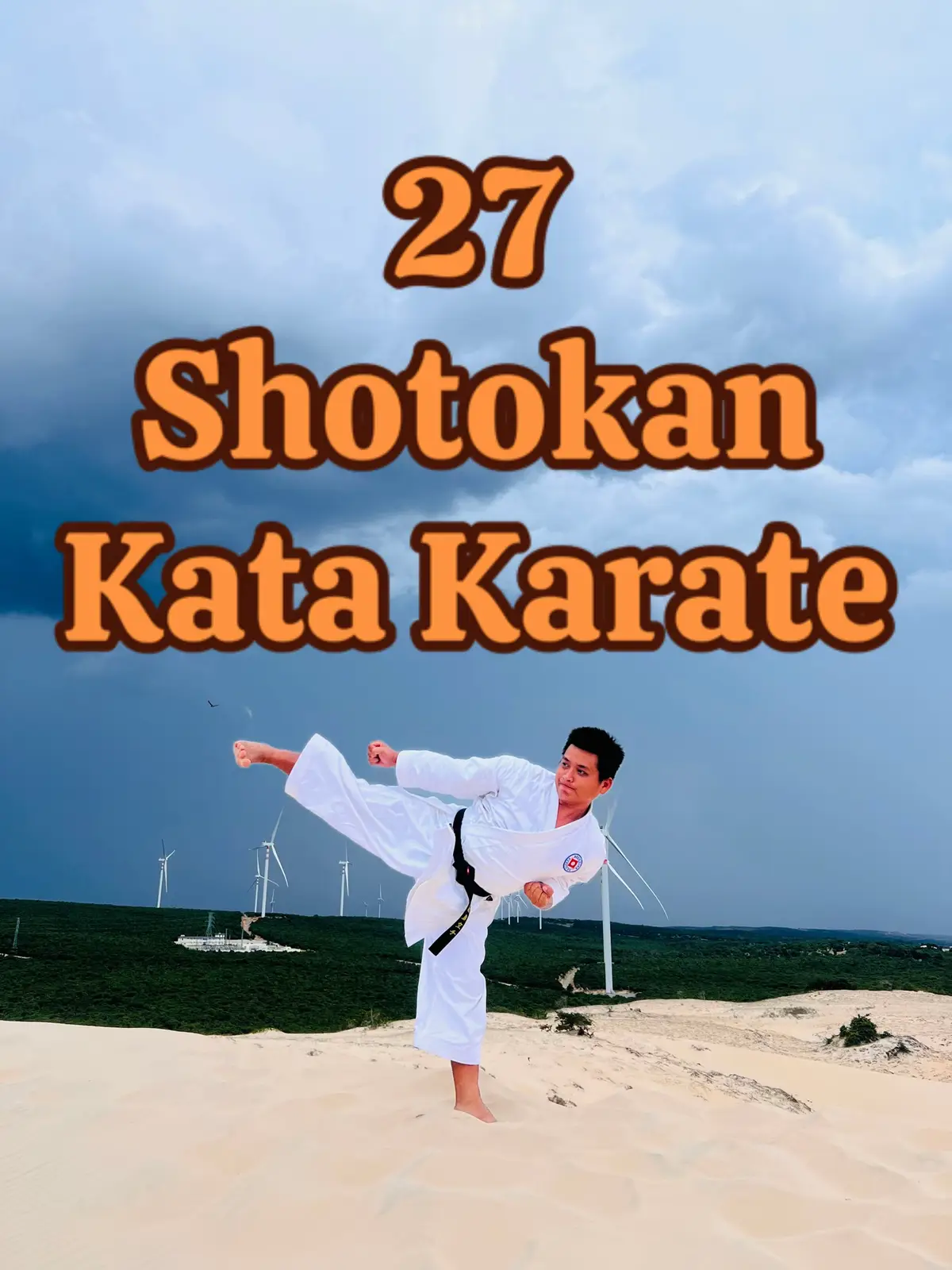 Trên là những bài kata karate shotokan 🥰🥋🥰 Quang Hải NDK 🥋 #quanghaikarate #quanghaindk #karate 