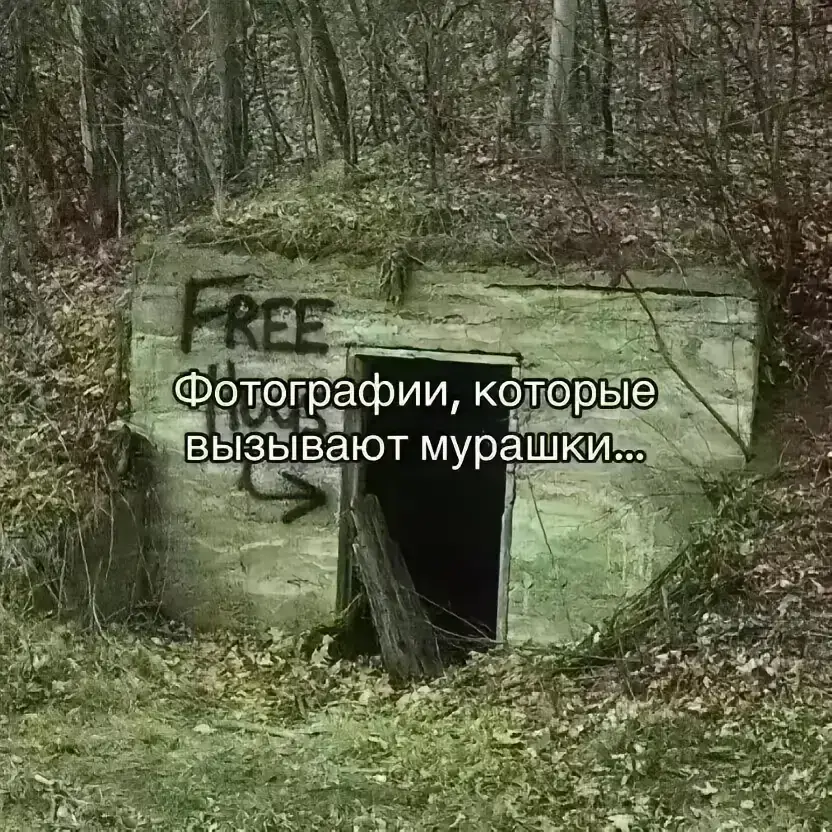 #мем 