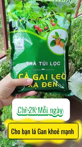1 kg trà cà gai leo xạ đen từ hơn 500k trợ giá chỉ còn trên dưới 300k miễn phí