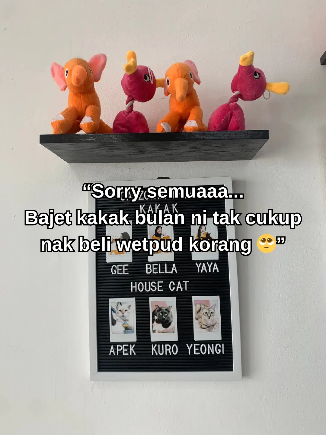 Kita kutip sebab kesian 😭