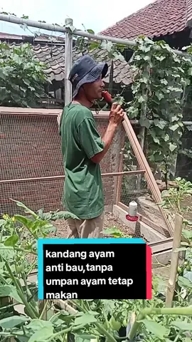 ide kreatif ..kandang ayam segitiga🤗✌️ #fypシ゚viral #kandang_viral  #yoso_farm #bero_trucuk #trucukklaten 