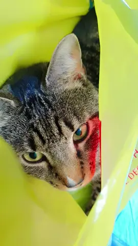 #😻😻😻 