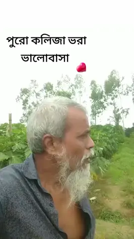 #foryou #fyp #Tiktok #viral #trending #@TikTok Bangladesh #@putry plara02🇮🇩🇸🇦 #@jonyislam68 #@md robel Hossain #@Apple Arif #❤️__________u________❤️ 