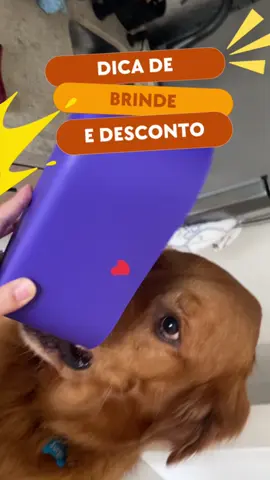 Cooler de brinde na @ @Petlove usando o cupom COOLER, nas compras acima de R$299 e Bravecto está com 30% de desconto também na pet love. Corre e aproveita a promoção garanta o desconto e seu brinde. Obrigado Pet love e Bravecto 💜 #goldinho #brindegratis #brinde #brindepetlove #bravecto #descontobravecto #desconto #dicadesconto #descontobravecto30 #dicabrinde