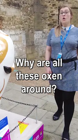 The ODS troops have been deployed across Oxford to keep Sobell House’s OxTrail 2024 clean! 🐂  These brave oxen have faced attacks from the air (birds), land (graffiti), and sea (spilled coffee), but we’re on the frontlines, keeping them looking their best! 💪 ✨ As Sobell House's proud Maintenance Partner, ODS isn't just cleaning - it's supporting their fantastic work. For 50 years, Sobell House has been providing vital care to those with life-limiting illnesses in Oxfordshire. See the ODS team in action and learn more about the OxTrail and the amazing work Sobell House is doing! 🎥✨ #Oxford #CharityPartner #Oxen #DoingGood