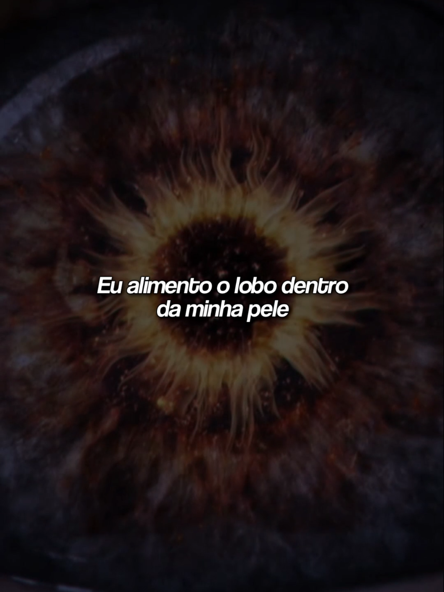 Breaking Benjamin - Feed the Wolf #rock#metal#breakingbenjamin #status#lyric #lyricsvideo #legendas #tradução