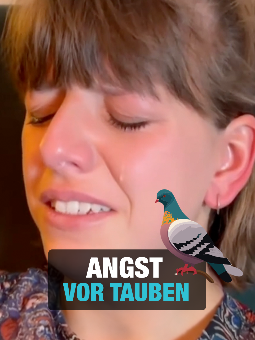 Angst vor Tauben 🕊️😳 #angst #tauben #vogel #tiere #phobie #hypnose