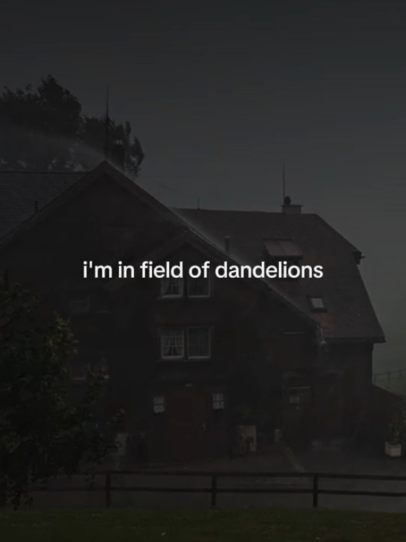 thanks for 100k✨ #ruthb #dandelions #lyrics #musicvibes #foryou #fyp 