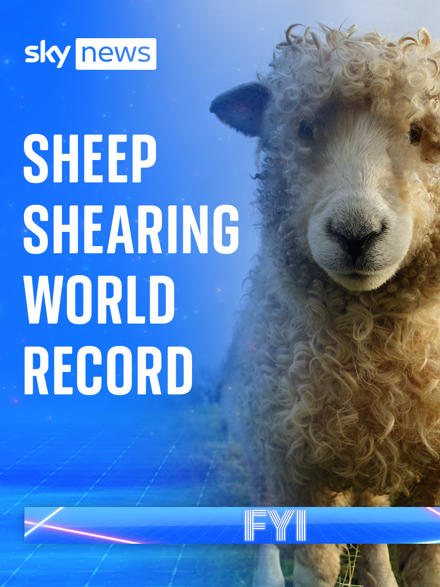 🐑 Una Cameron has set a new #sheep shearing #worldrecord