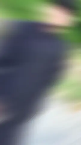 #CapCut 