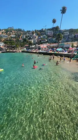 SoCal clear water 🏝️☀️🐚 . . . #foryou #foryourpage #fyp #fy #losangeles #catalina #catalinaisland #island #clearwater #nature #viral #landscape #landscaping #beach #Summer #summertime #vacations #trip #Love #travel 