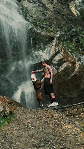 🐶👨🏼‍🦲   ❤️ #foryou #buscu #dog #dogsoftiktok #nature #austria 