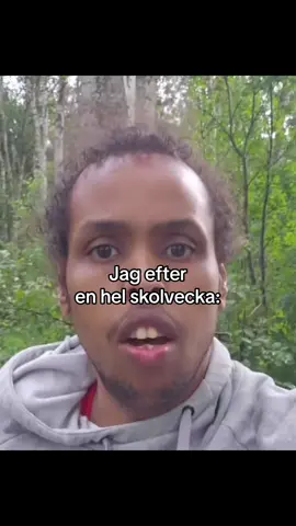 #intelättnärdetärsvårt #gåttiniväggen #utbränd #svenskmeme #slideshow #core #fördig #viraltiktok #relaterbart #saabuun 
