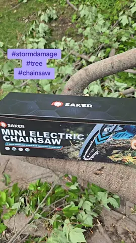 Go big or go home, this little chainsaw got the job done #fastcharge #chainsaw #batterypowered #deal #fall 10 out of 10 recommend (No that's not the tree on my house)