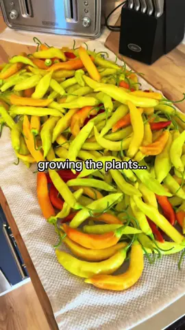 Gotta love the process! #gardening #harvest #august #september #gardentour 