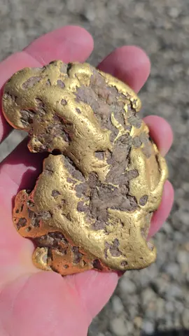 Now this is a gold nugget! 🤤 #fyp #gold #pretty #investing @GoldDaughters 