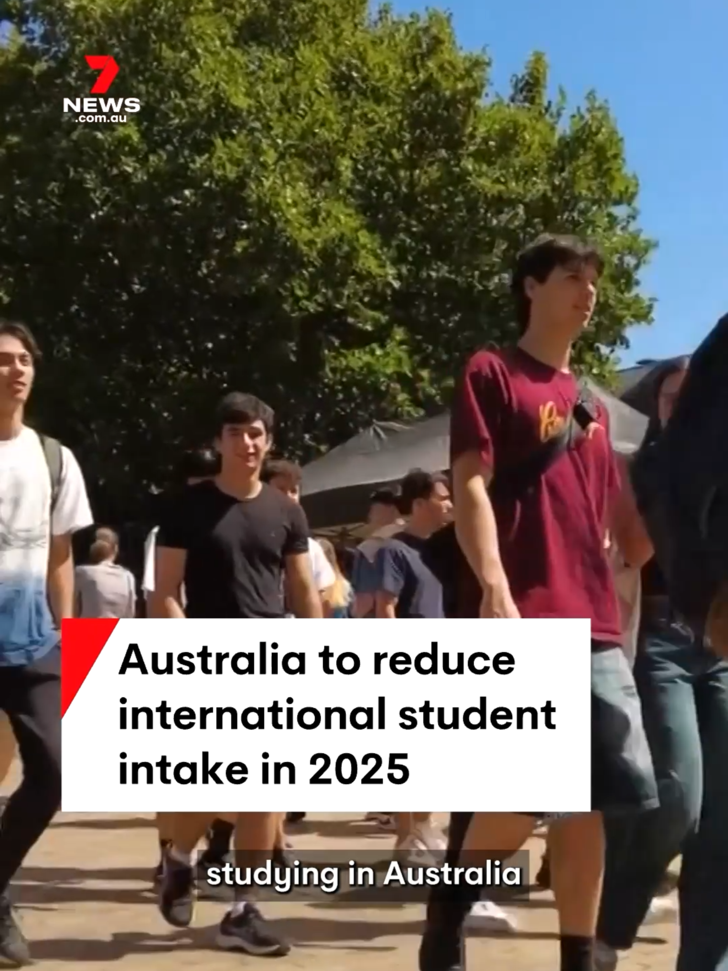 The number of international students studying in Australia will be cut to 270,000 next year, Education Minister Jason Clare has announced. #auspol #education #uni #university #universities #highered #highereducation #internationalstudents #7NEWS