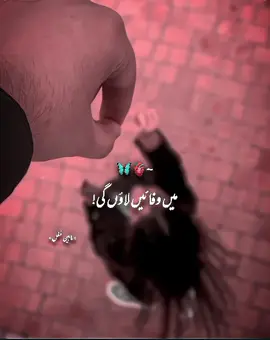 Mein Wafaen Laoun Ge❤️🌏#rtthf❤️✅ #repost #trendingsong #lovestatus #loveyou #foryoutrick #whatsappstatus #growmyaccount #fypviralシ #foryoupage #status 