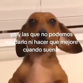 yo y las wnas cuando WAJAJAJAJAJA :